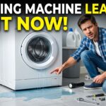 Why your washing machine is leaking and what to do about it